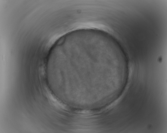 X0000115211497200911251454