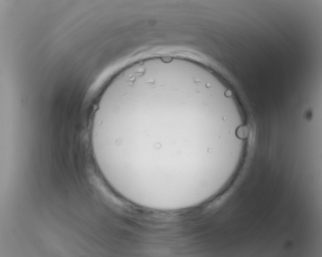 X0000115211498200911251454