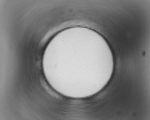 X0000115211499200911251454