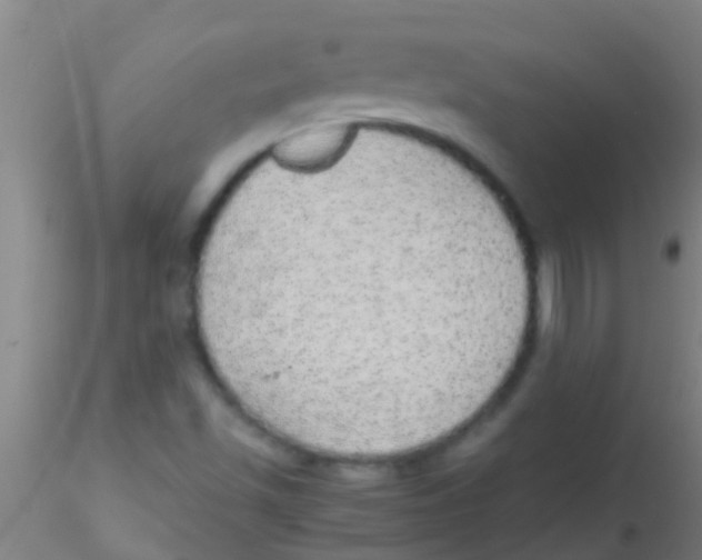 X0000115211501200911251454