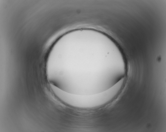 X0000115211502200911251454