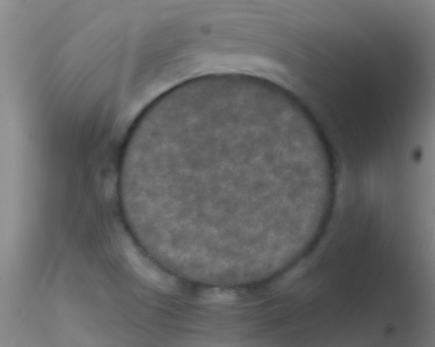 X0000115211505200911251455