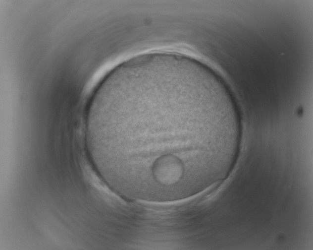 X0000115211506200911251455