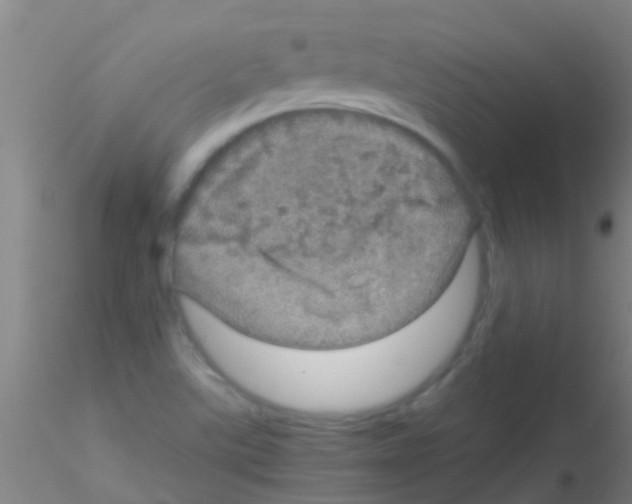 X0000115211507200911251455