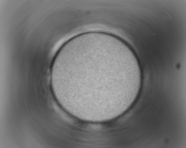 X0000115211509200911251455