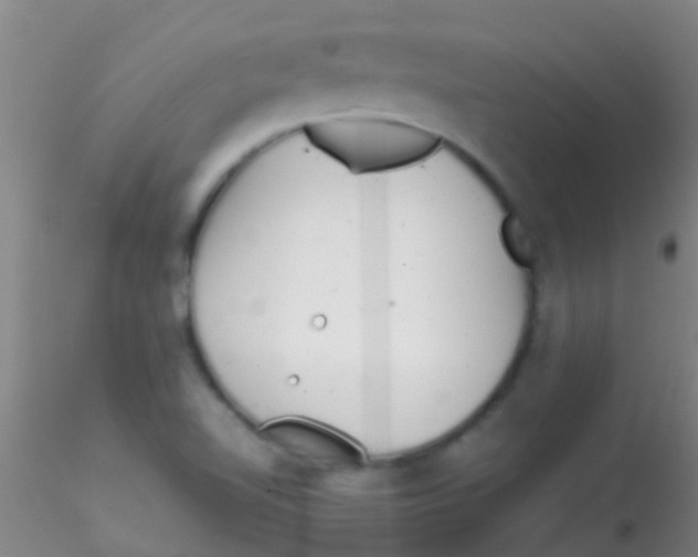 X0000115211510200911251455