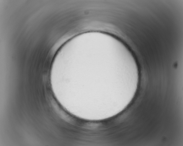 X0000115211513200911251455