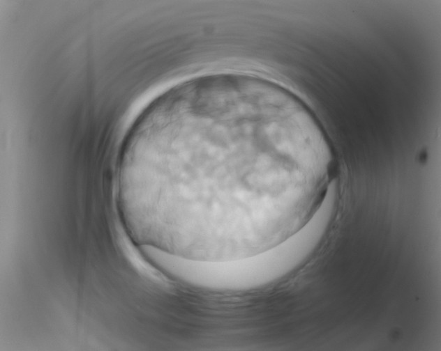 X0000115211515200911251455