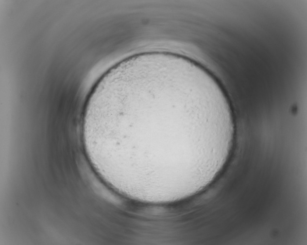 X0000115211517200911251455