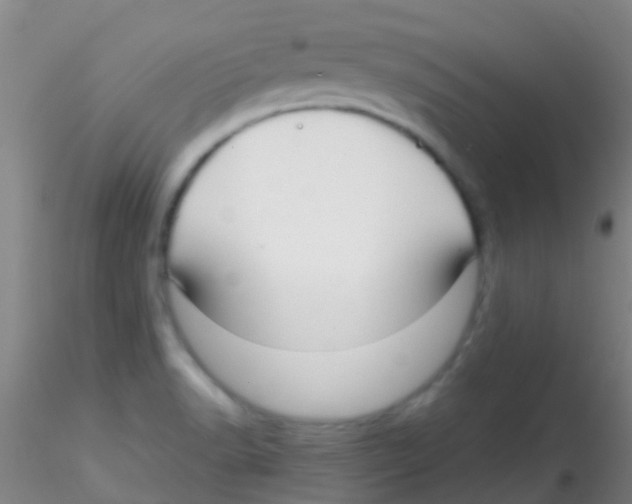 X0000115211518200911251455