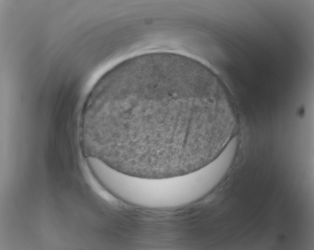 X0000115211519200911251455