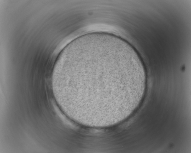 X0000115211521200911251455