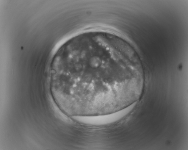 X0000115211522200911251455