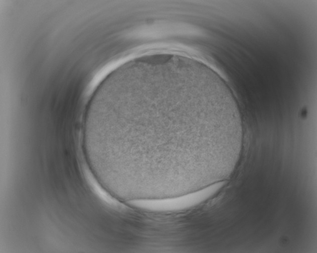 X0000115211523200911251455