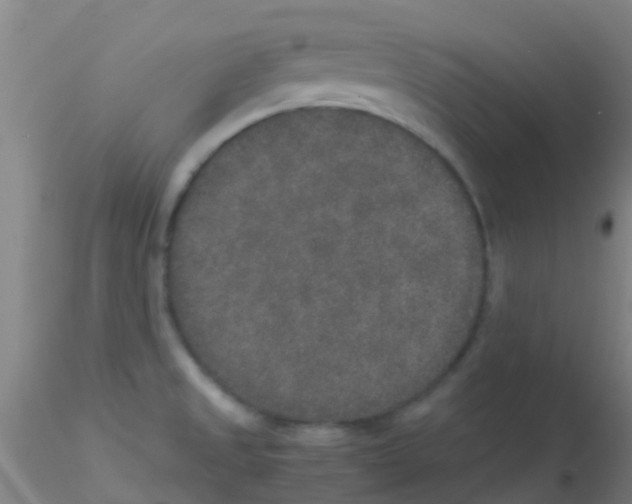 X0000115211525200911251455