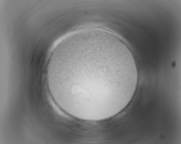 X0000115211526200911251455