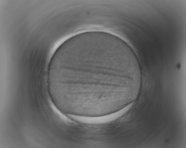 X0000115211527200911251455