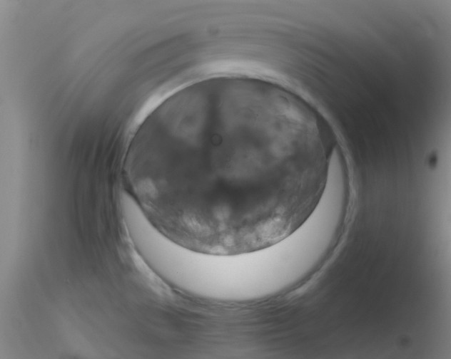 X0000115211529200911251455