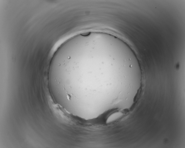 X0000115211530200911251455