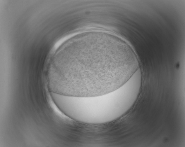 X0000115211531200911251455