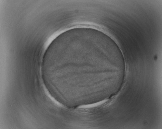 X0000115211533200911251455