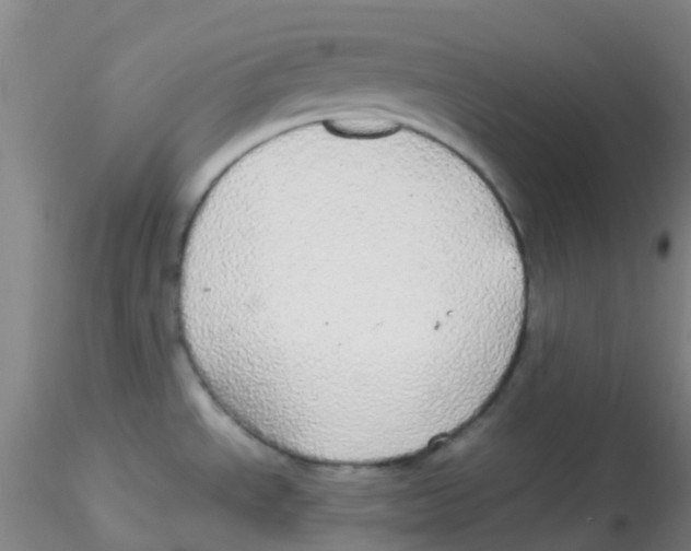 X0000115211534200911251455