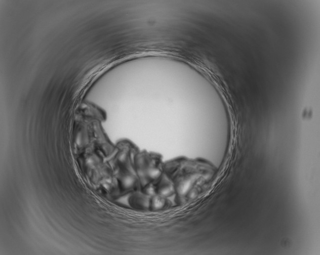 X0000115210001200912091209