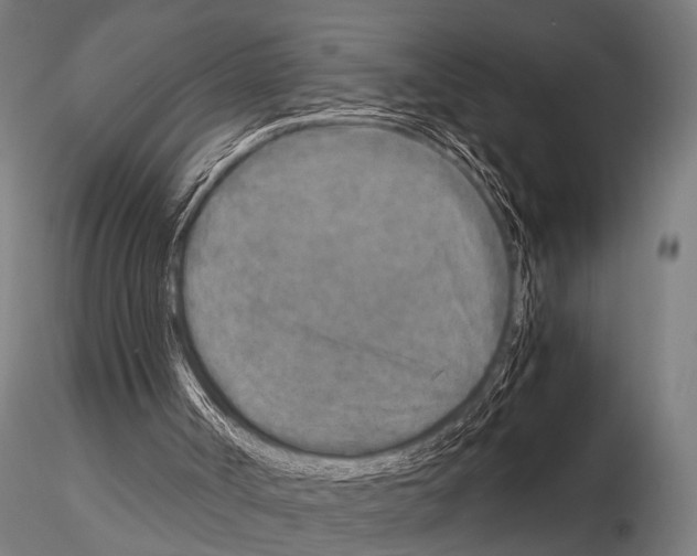 X0000115210002200912091209