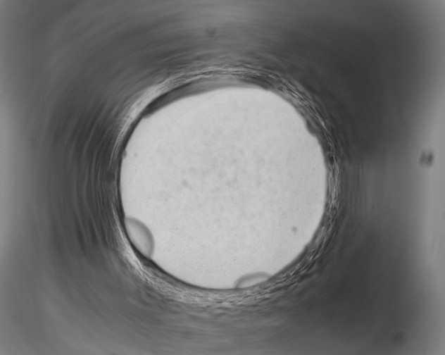 X0000115210003200912091209