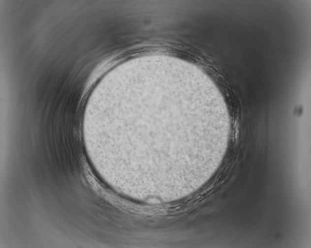 X0000115210004200912091209