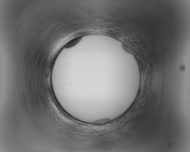 X0000115210005200912091209