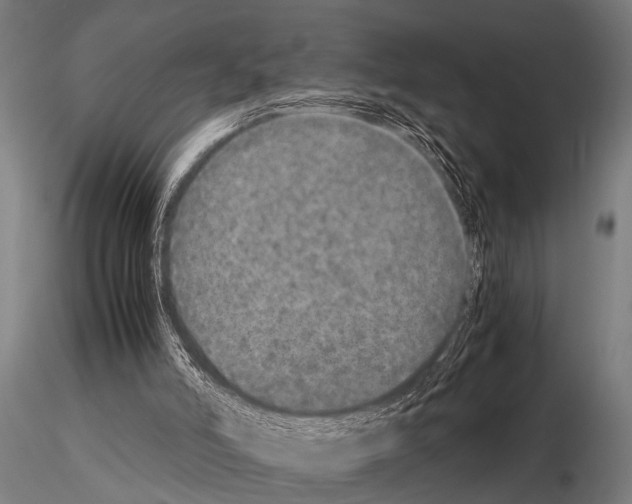 X0000115210006200912091209