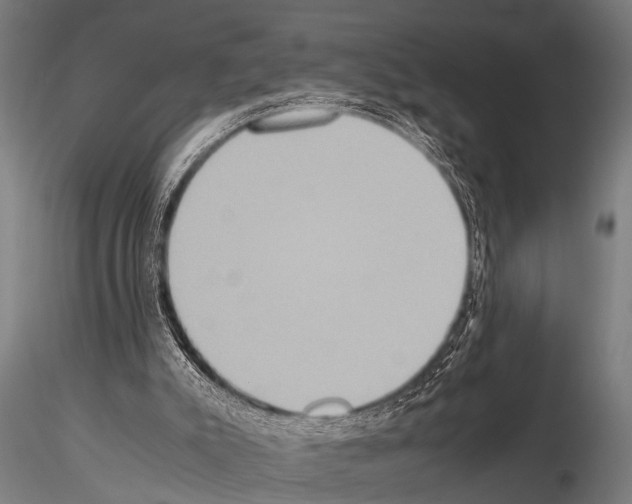 X0000115210007200912091209