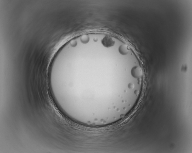 X0000115210008200912091209