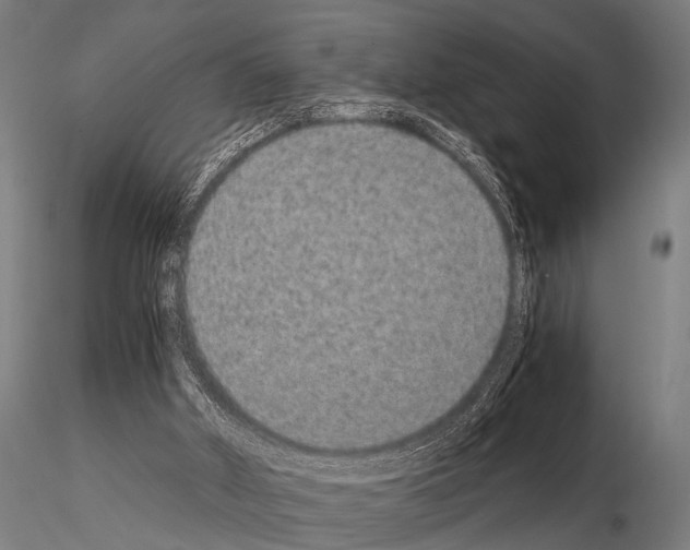 X0000115210010200912091208