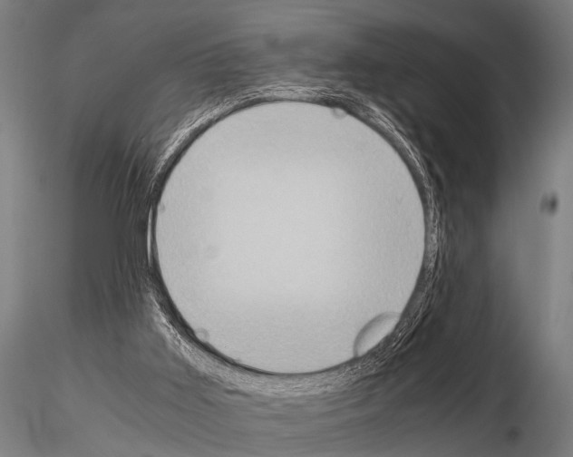 X0000115210011200912091208