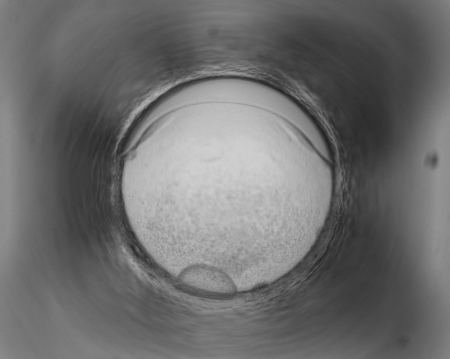 X0000115210012200912091208