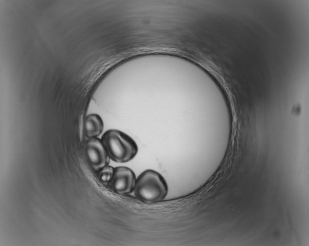 X0000115210013200912091208