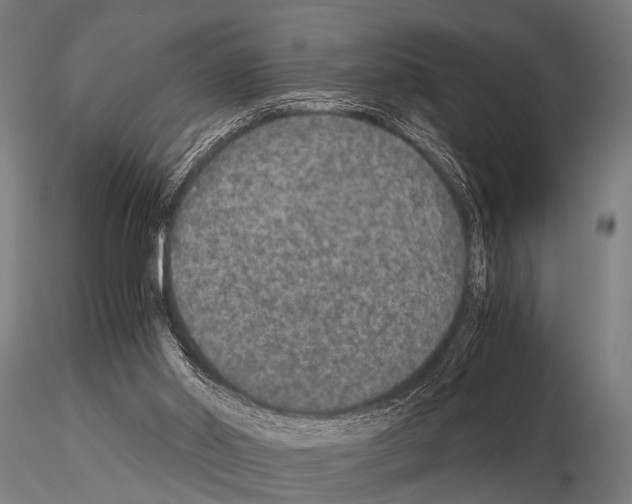 X0000115210014200912091208