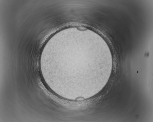 X0000115210015200912091208