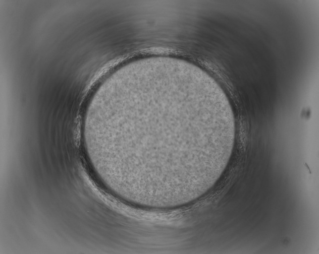 X0000115210016200912091208