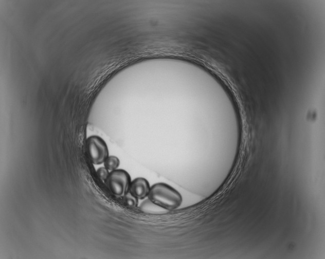 X0000115210017200912091208