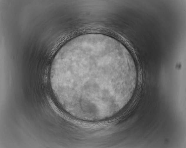 X0000115210018200912091208