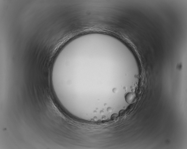 X0000115210020200912091208