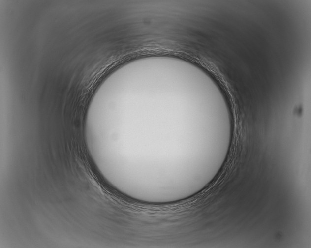 X0000115210021200912091208