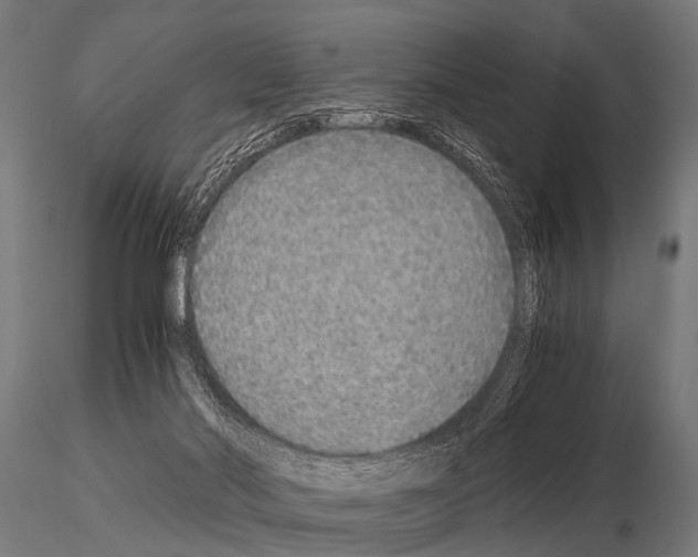 X0000115210022200912091208