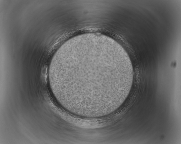 X0000115210024200912091208