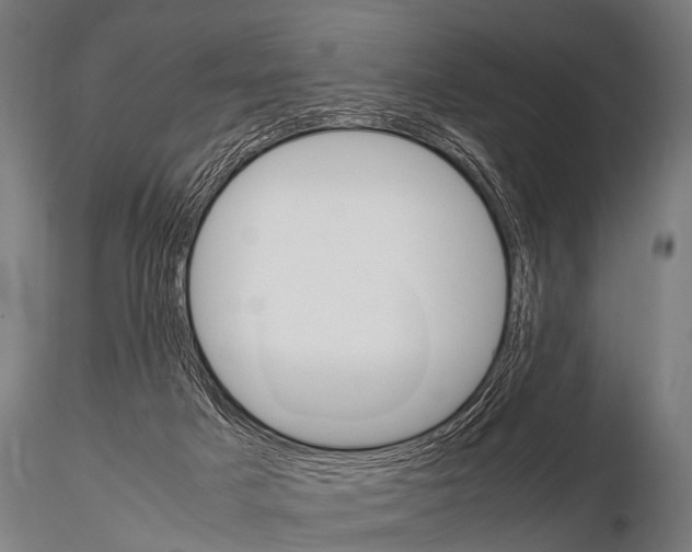 X0000115210025200912091208