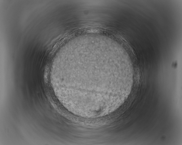 X0000115210026200912091208