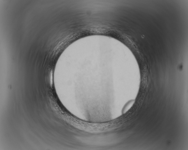 X0000115210027200912091208